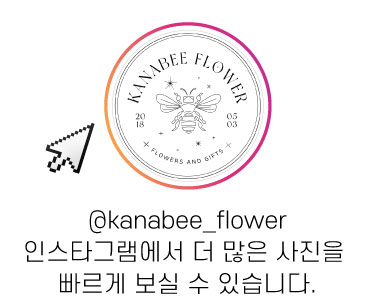 솔리토퍼 이미지