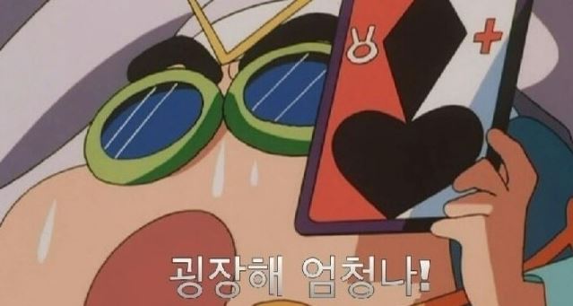 금호돼지 이미지