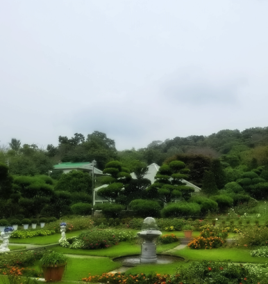 카페드토스트 이미지