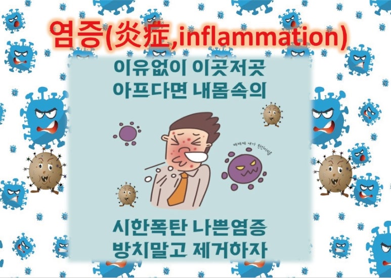 (주)본초바이오 이미지