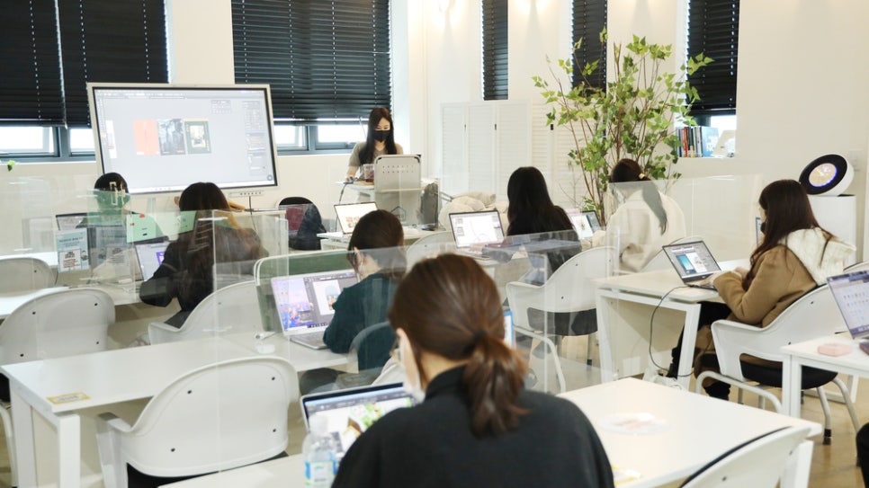 튜이시 이미지