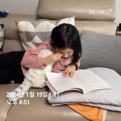 토그놀 이미지