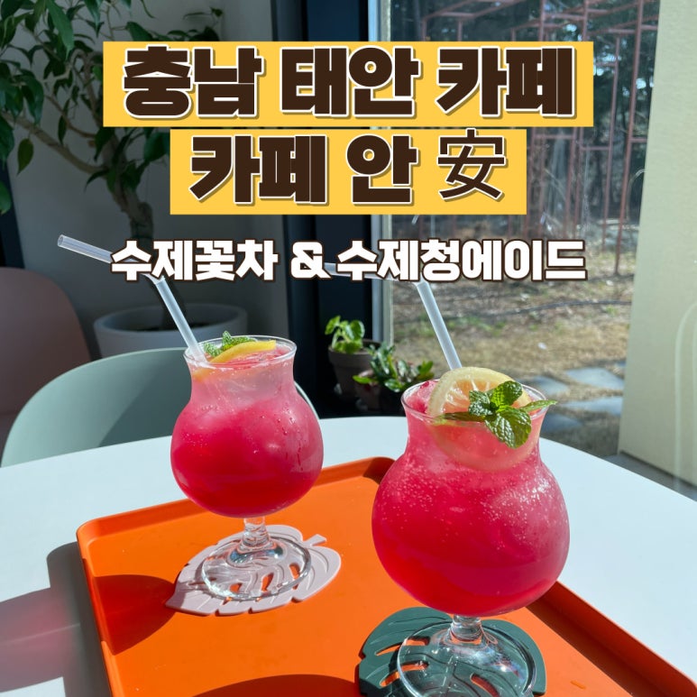 安빵 이미지