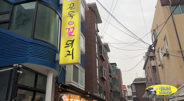 골목꽃돼지 이미지