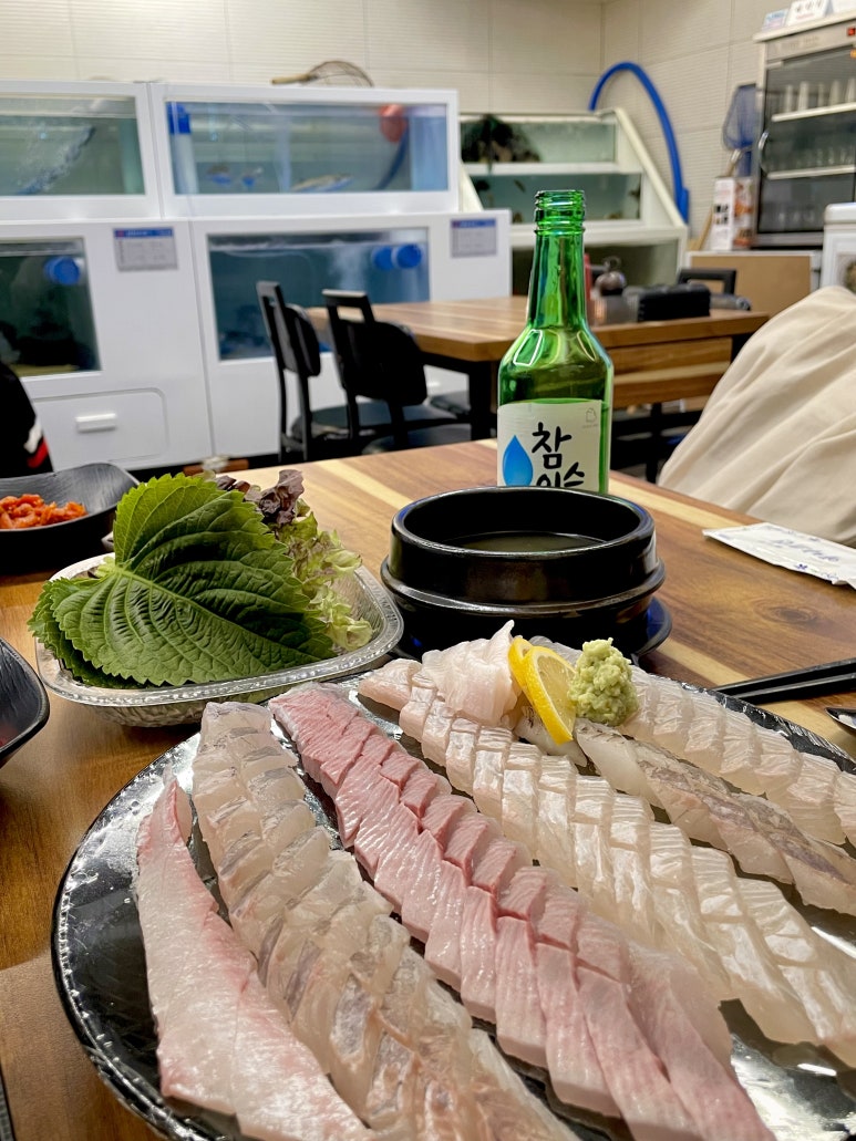 회1984 이미지