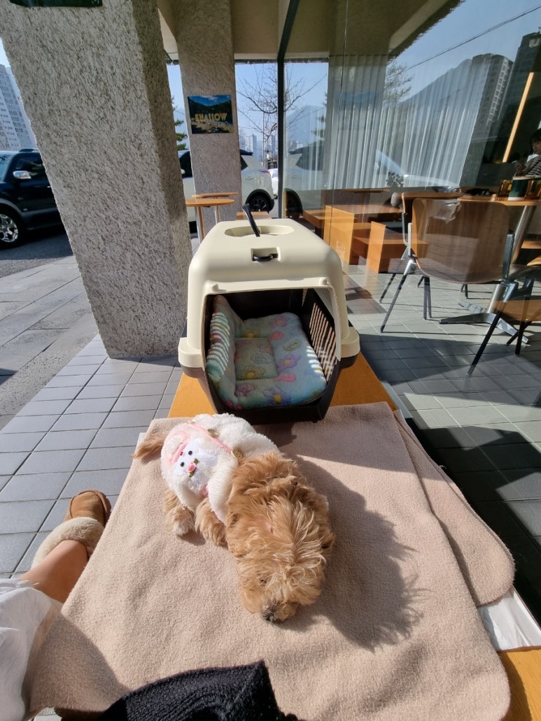 샬로우커피김해율하점 이미지