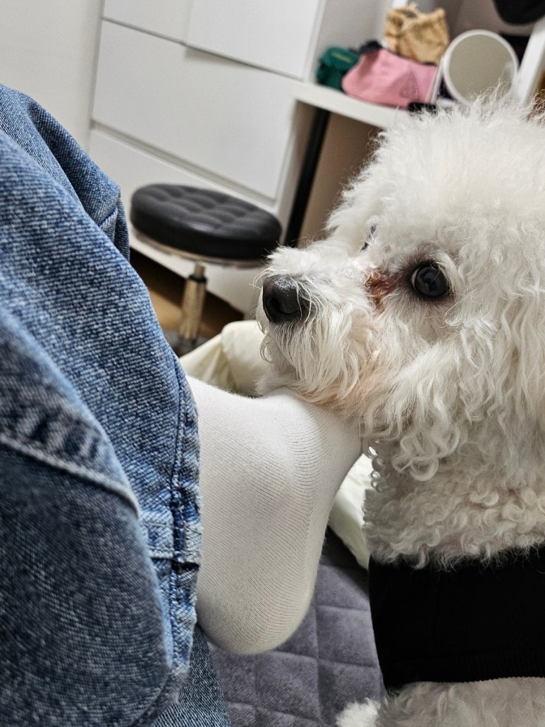 류애비뉴부천 이미지
