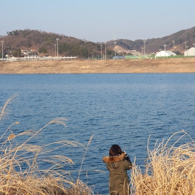 늘도민박펜션 이미지