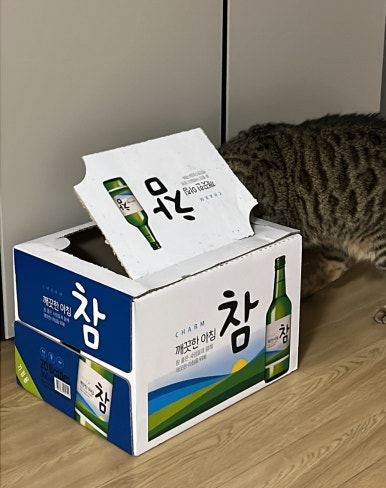 정훈이불 이미지