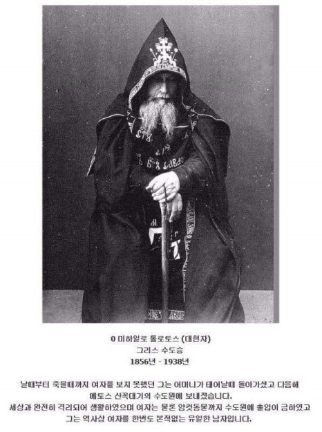 스윗케이크 이미지