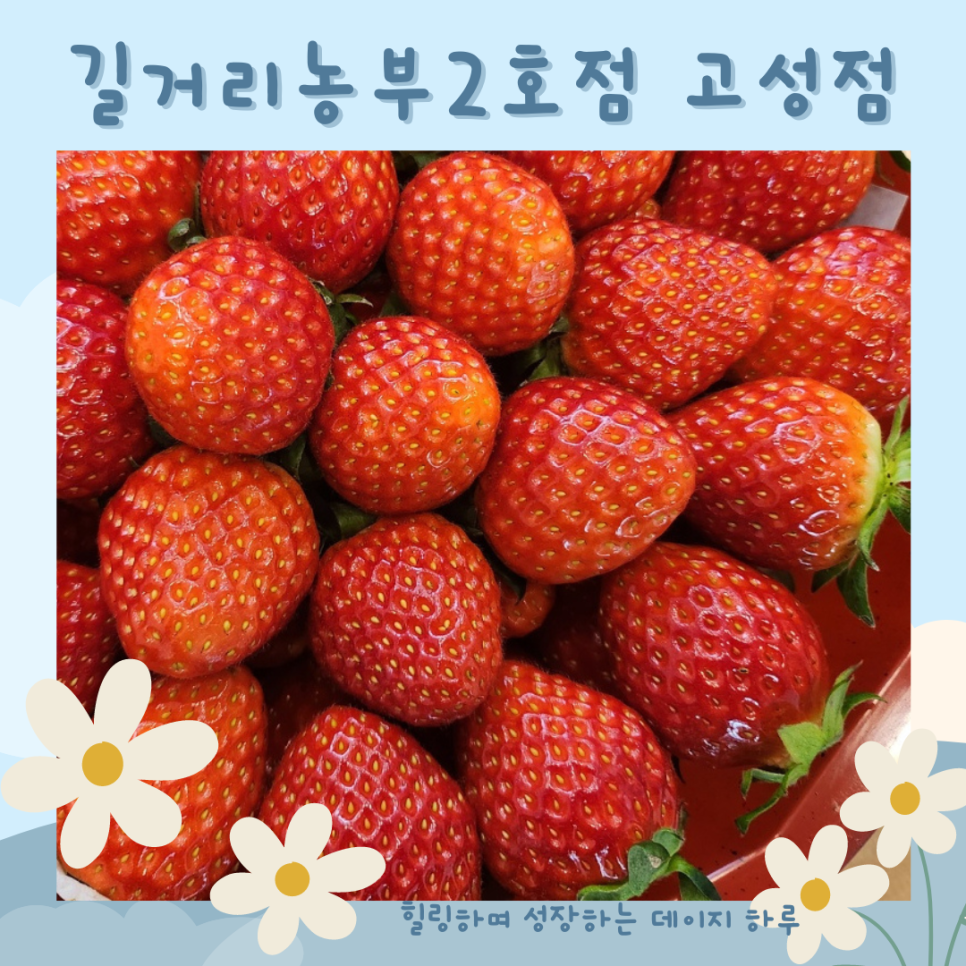 길거리농부 이미지