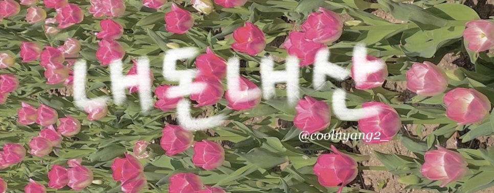 스시로지 이미지