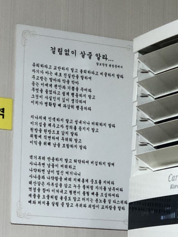 와우여행사주 이미지