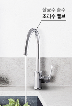쿠쿠대구 이미지
