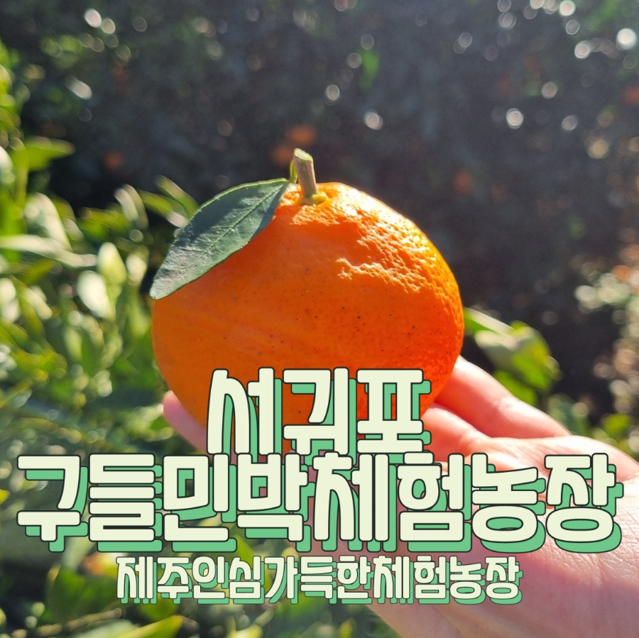 구들민박 이미지