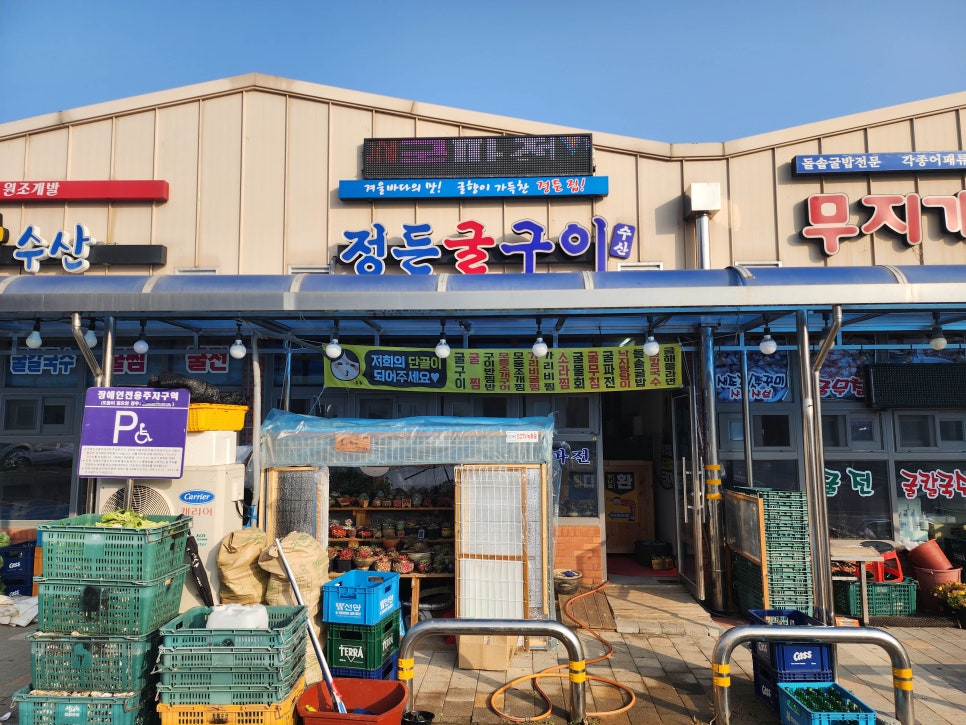 정든생각 이미지