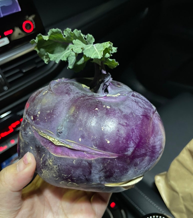 고산별이아름답다 이미지
