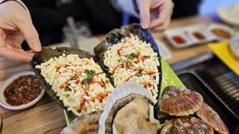 삼척해변별난조개 이미지