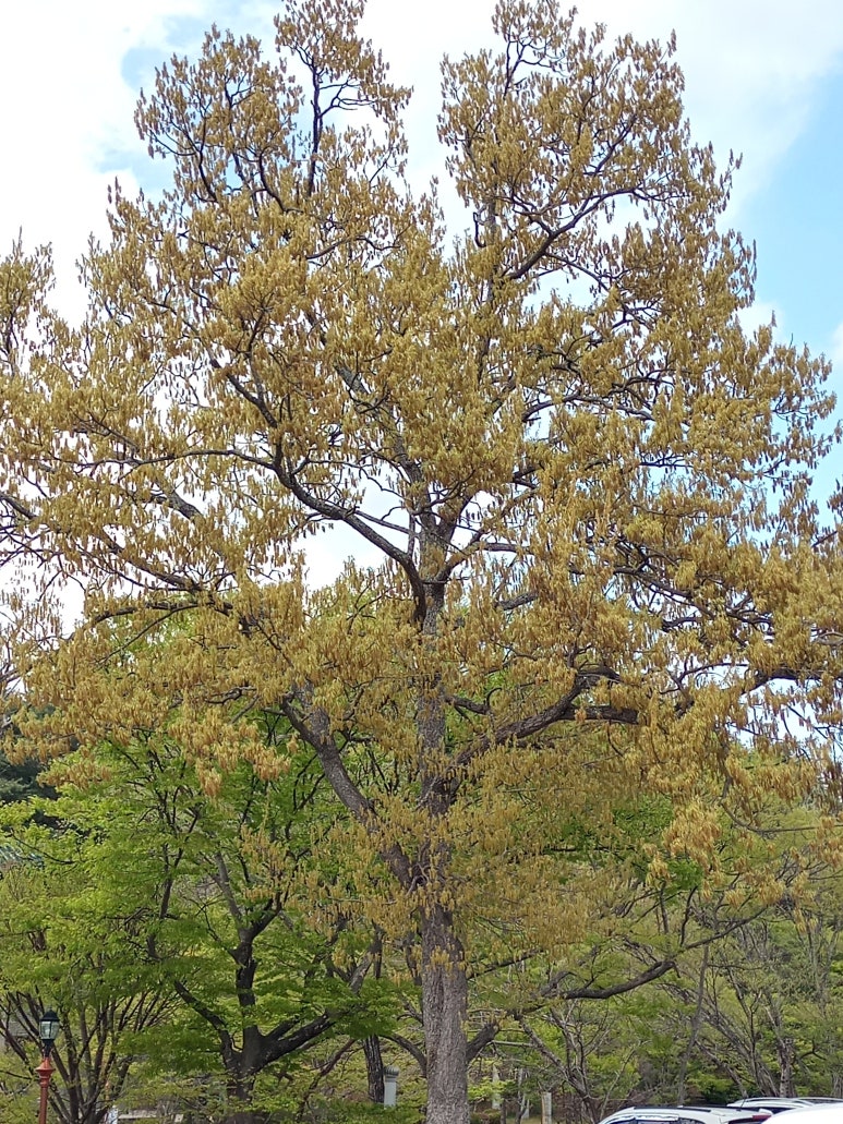 (주)스마일메디컬 이미지