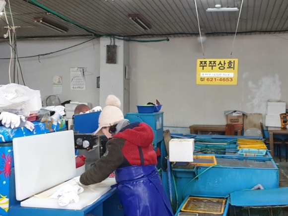 쭈쭈상회 이미지