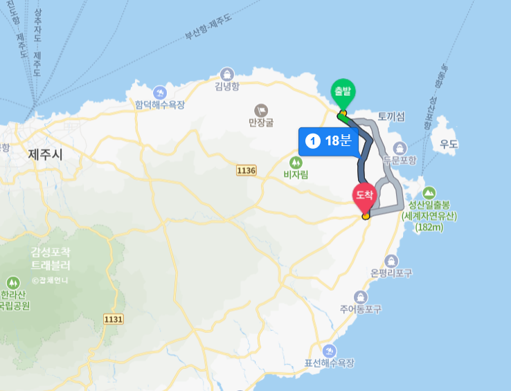 제주890 이미지