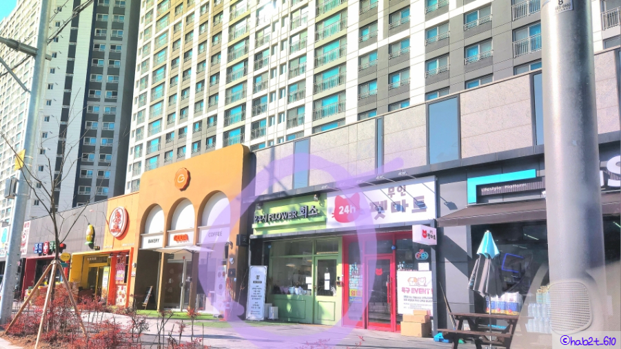 희소달서점 이미지