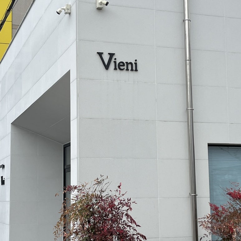 비에니(Vieni) 이미지