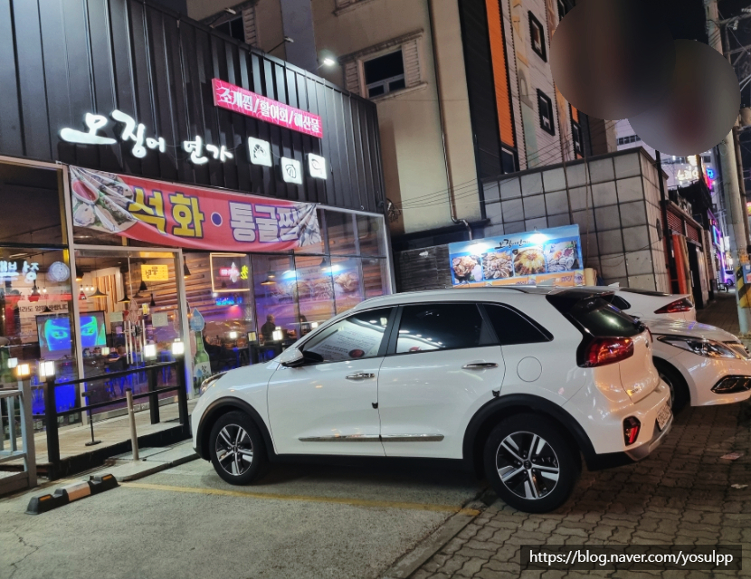오징어연가 이미지