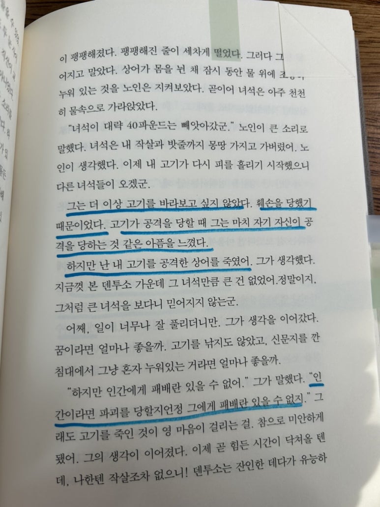 제일동빵 이미지