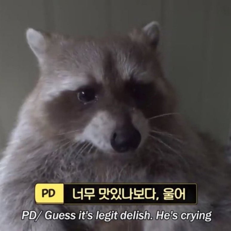 호식이두마리치킨구 이미지