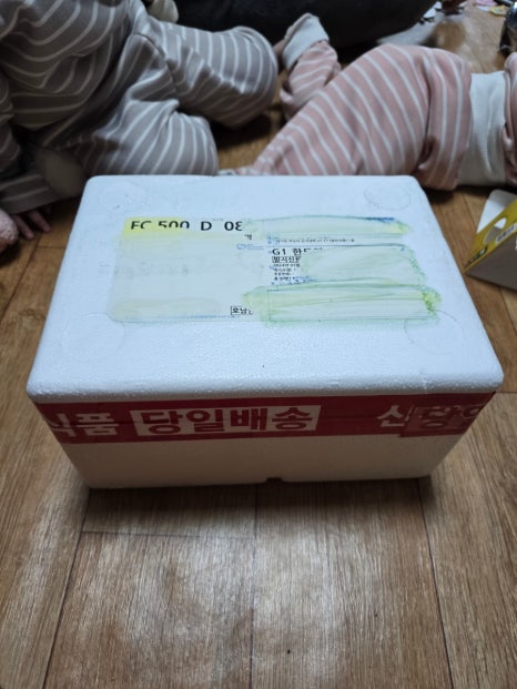 더바다마켓 이미지