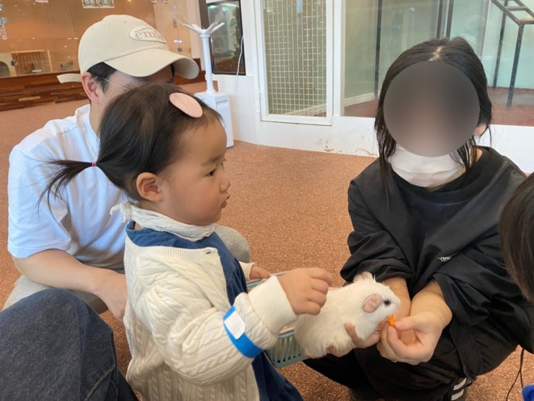 다산지오 이미지