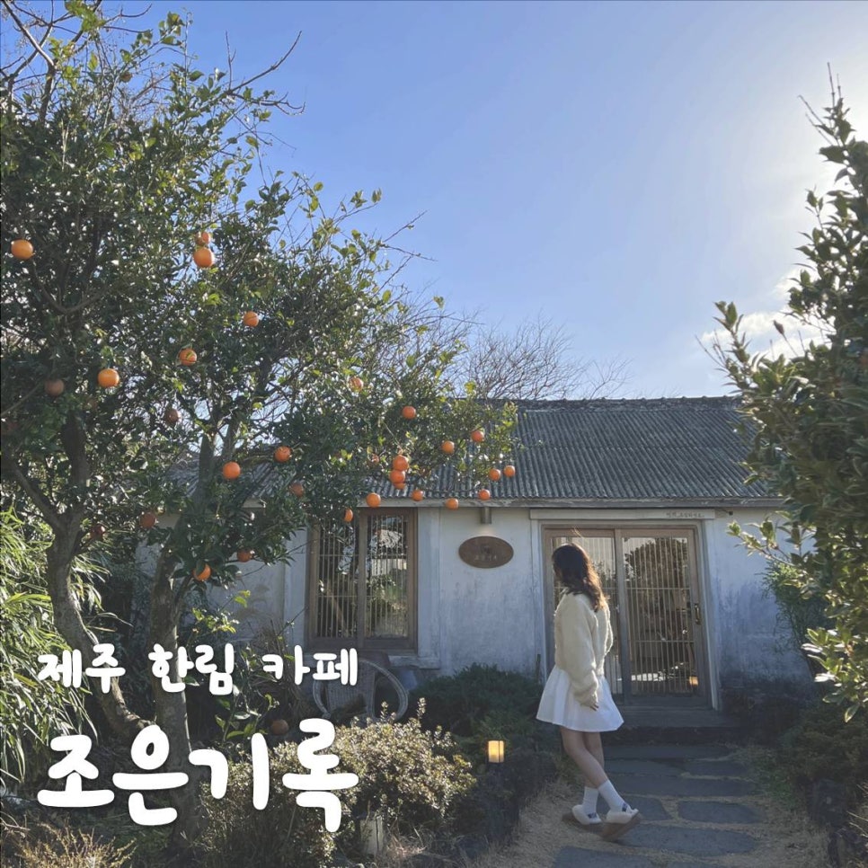 제주새참 이미지