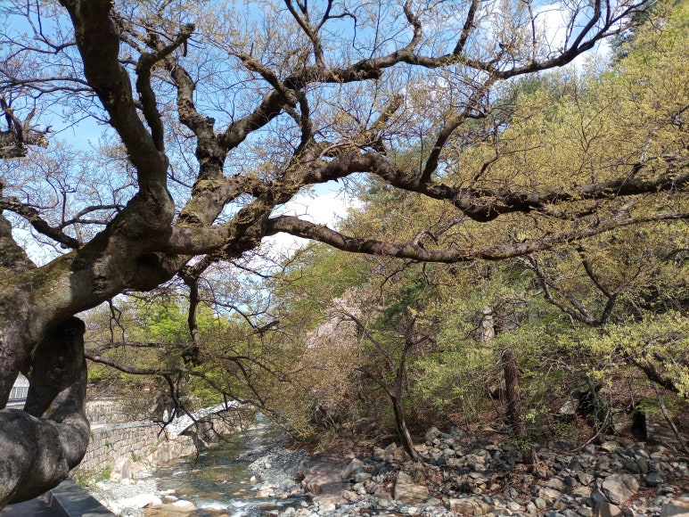 (주)스마일메디컬 이미지