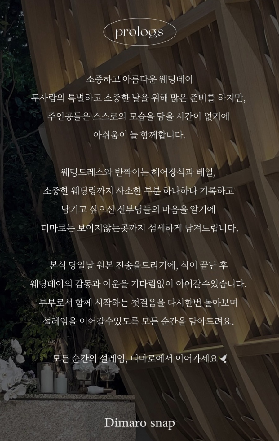 마로스 이미지