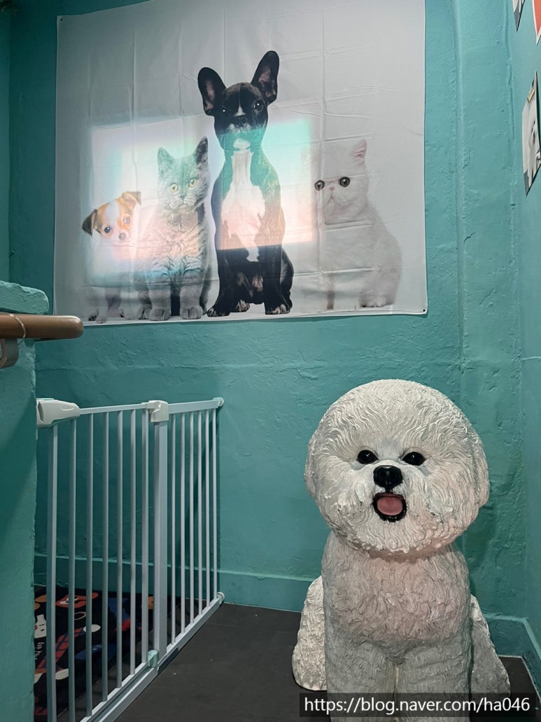 에바가위컷 전문점 이미지