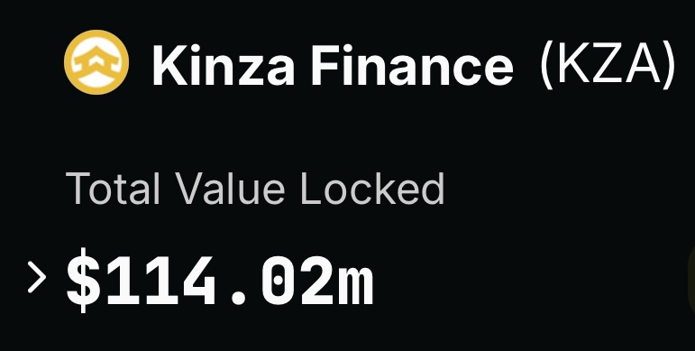 킨자(KINZA) 이미지
