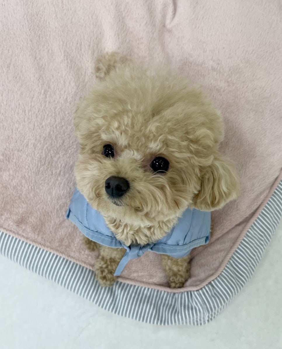분당유치원 이미지