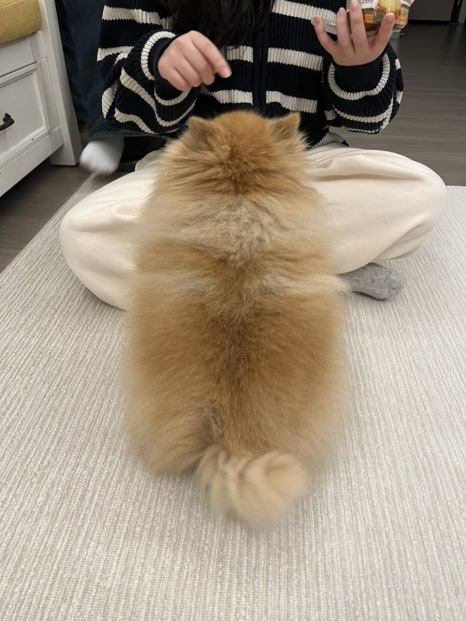 이도리카페 이미지