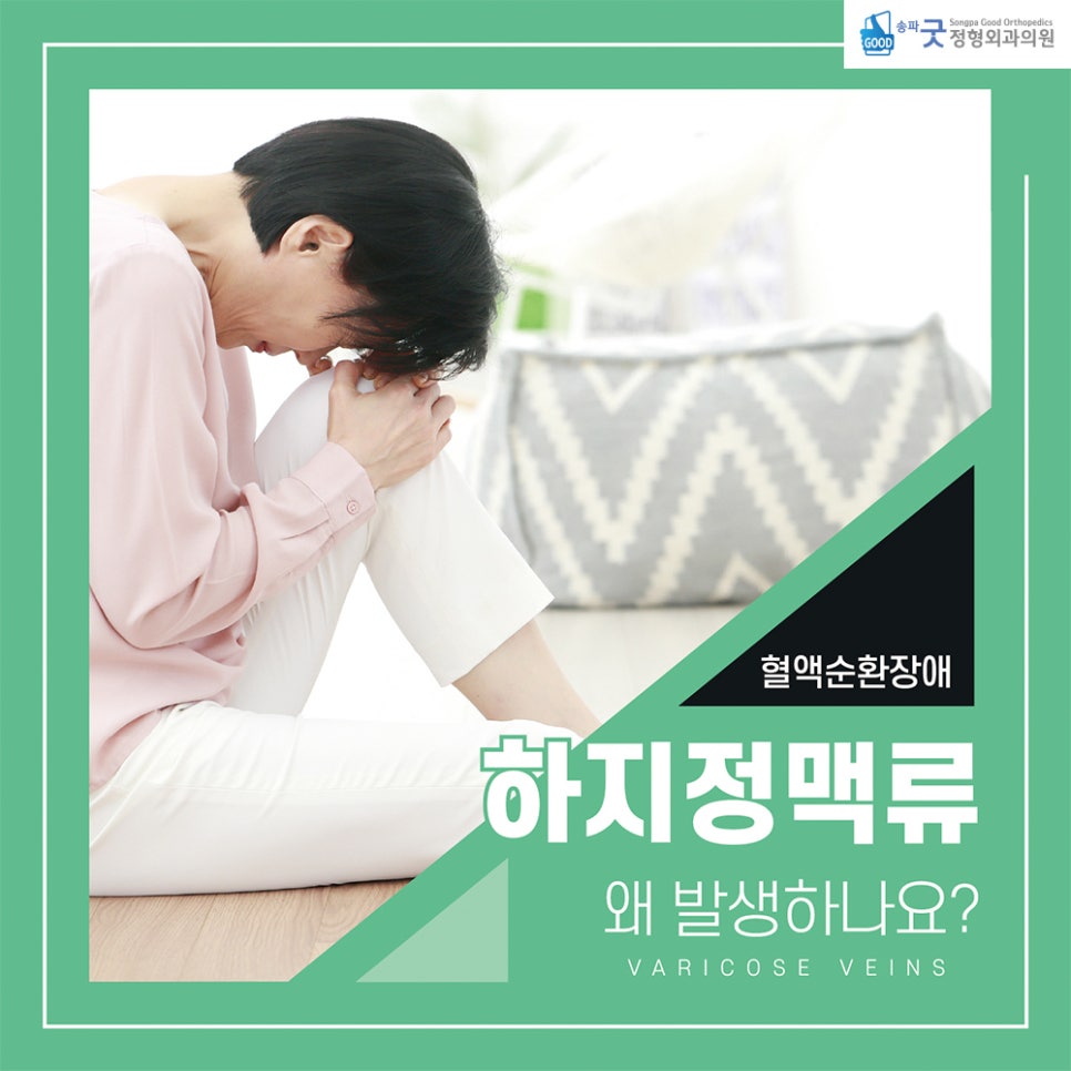 송파굿정형외과의원 이미지