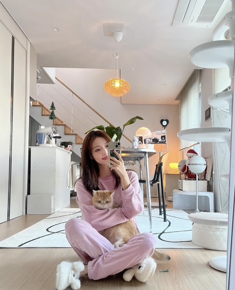 샤인모어 이미지