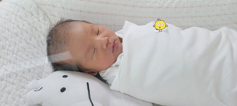 정성세무회계 이미지