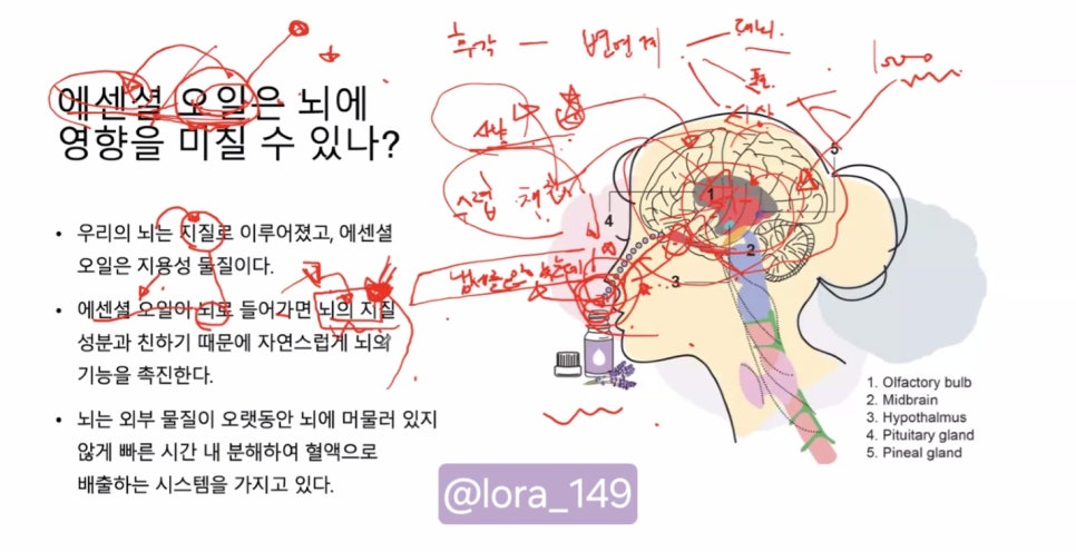 이로우라 이미지