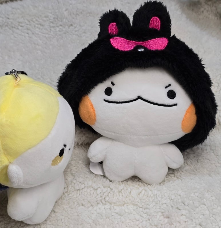푸루무스튜디오 이미지