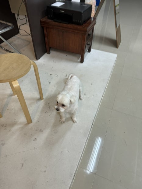 1207Studio 이미지
