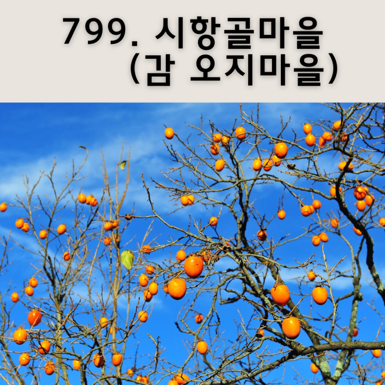 시항골 이미지