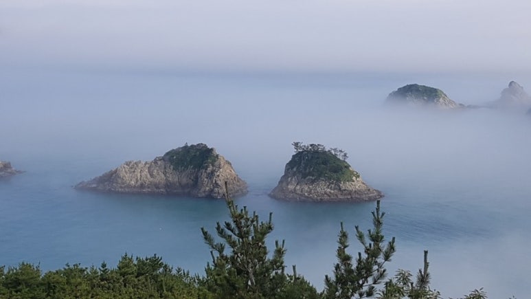 정직한사람들 이미지