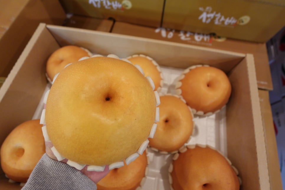 성환상회 이미지