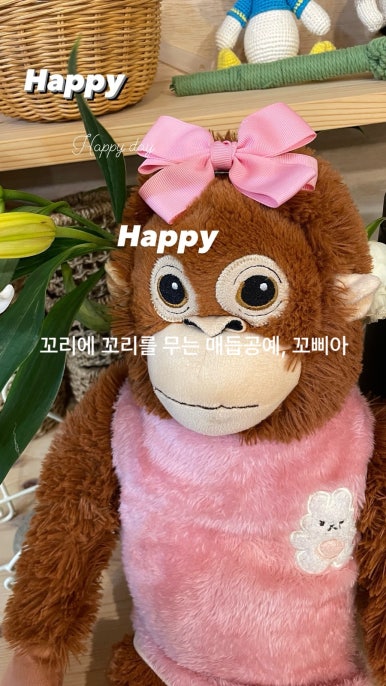 꼬삐아 이미지
