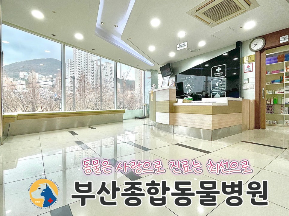미리종합관리 이미지